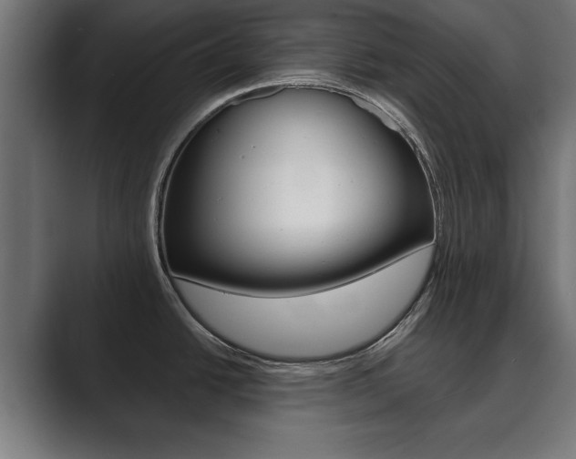 X0000089881438200706281041