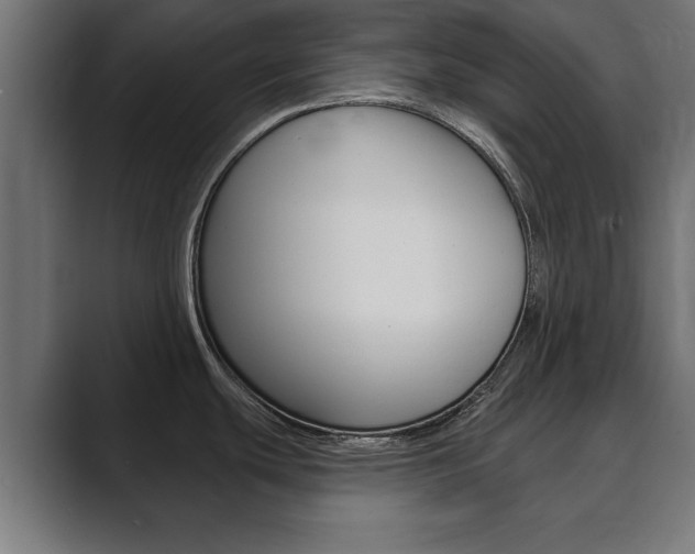 X0000089881439200706281041