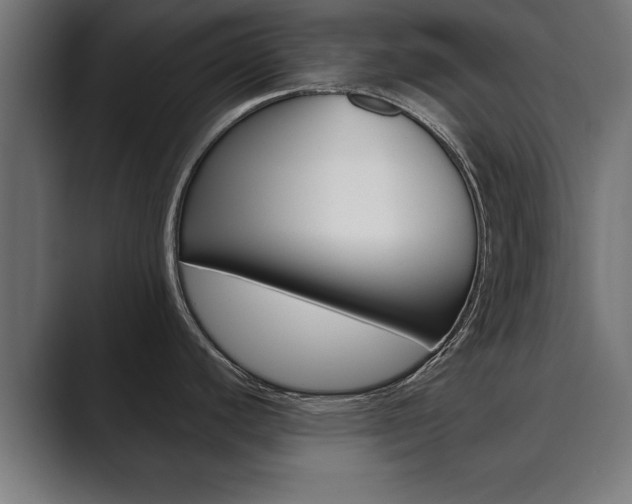 X0000089881440200706281041