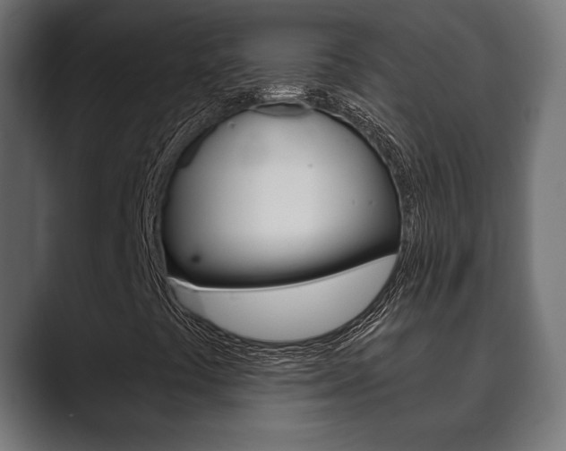 X0000089881441200706281040