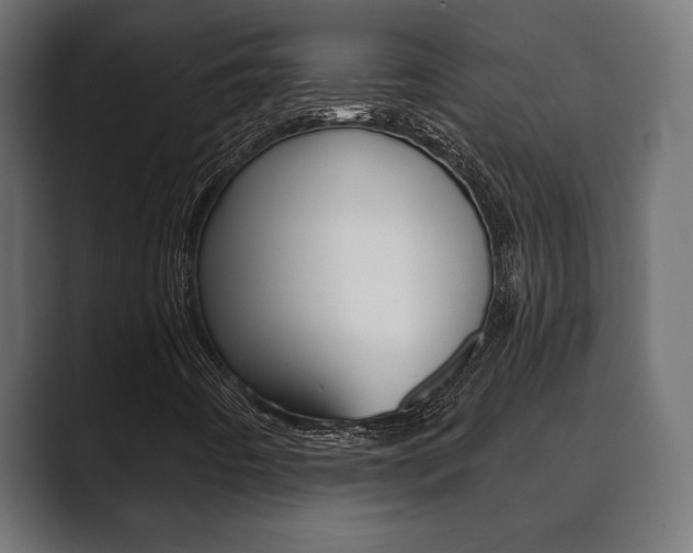 X0000089881442200706281040