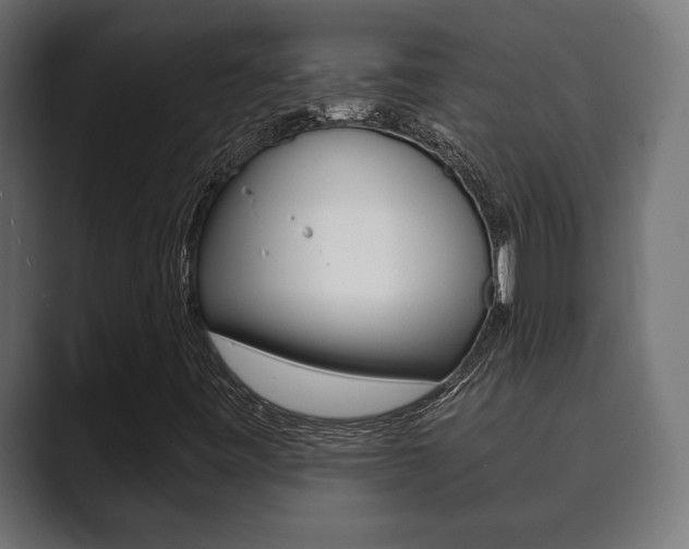X0000089881443200706281040