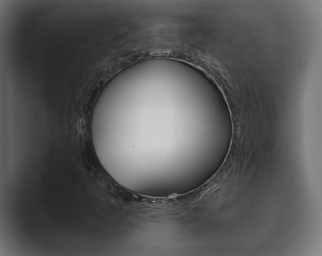 X0000089881445200706281040