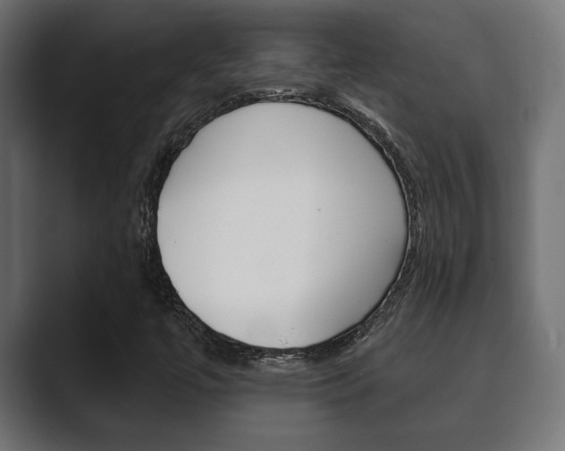X0000089881447200706281040