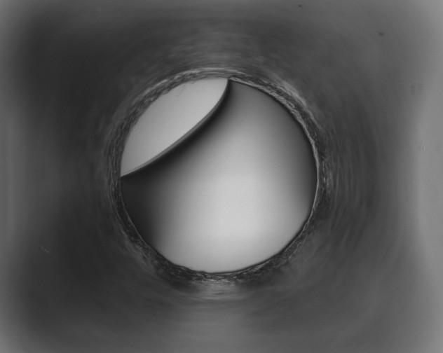 X0000089881448200706281040