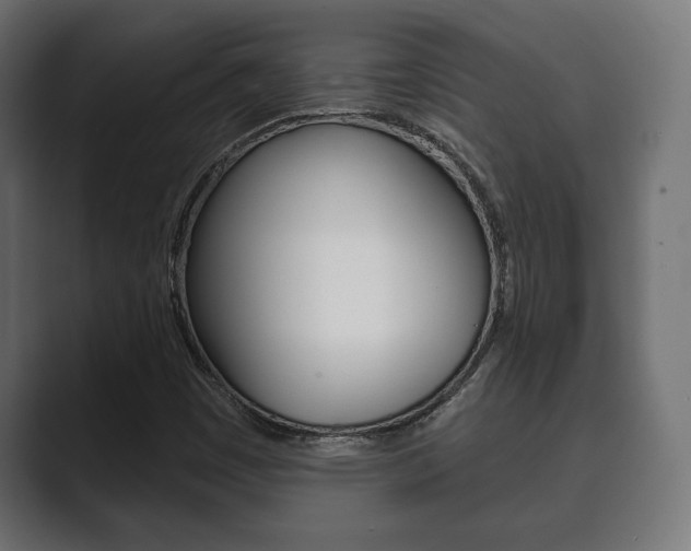 X0000089881449200706281040
