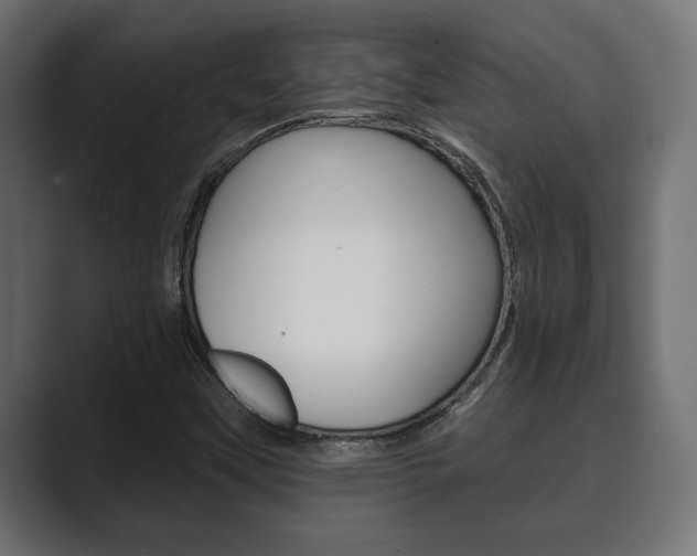 X0000089881451200706281040