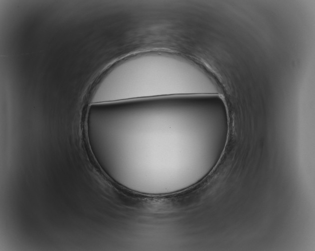 X0000089881452200706281040