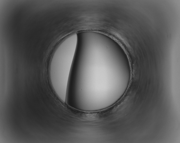 X0000089881453200706281040