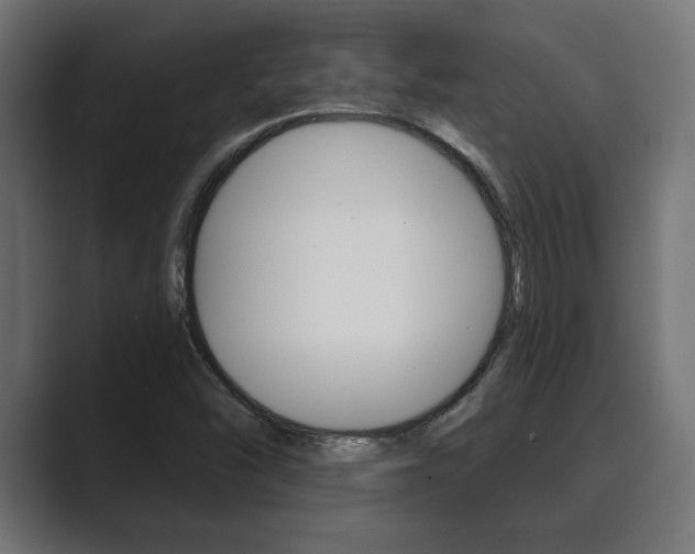 X0000089881454200706281040
