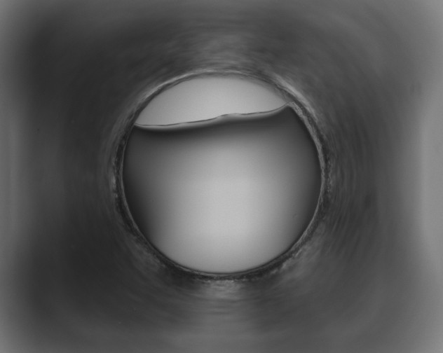 X0000089881455200706281040