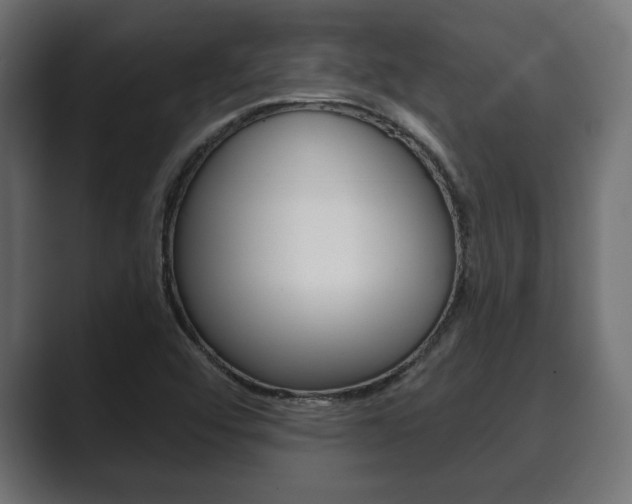 X0000089881456200706281040