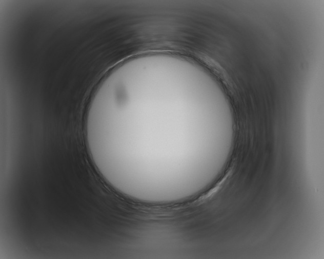 X0000089881457200706281040