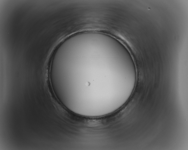 X0000089881459200706281040