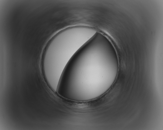 X0000089881460200706281040