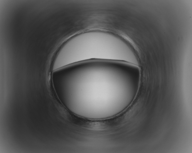 X0000089881461200706281040