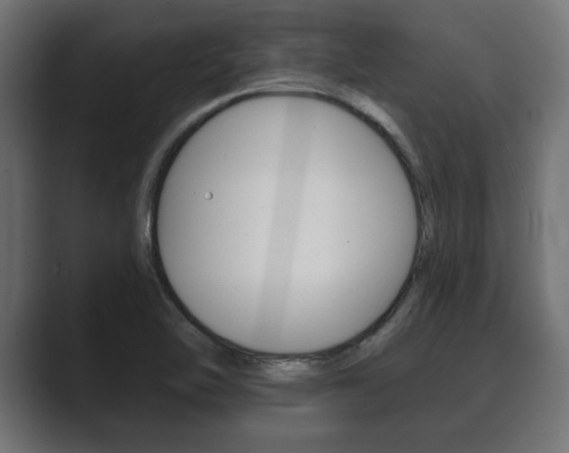 X0000089881462200706281040