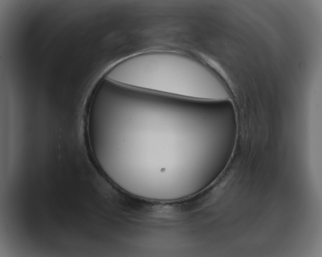 X0000089881463200706281040