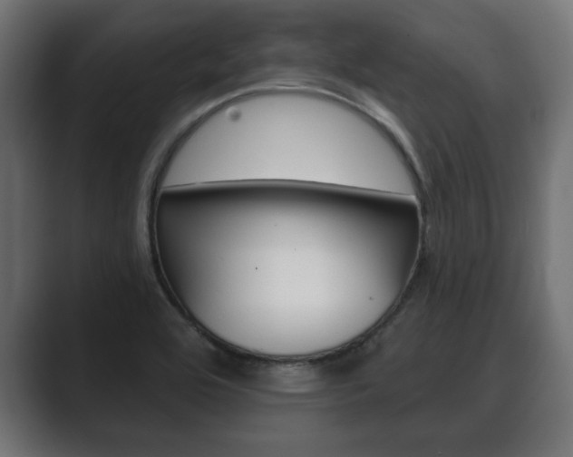X0000089881464200706281040