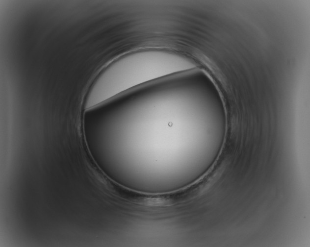 X0000089881465200706281040