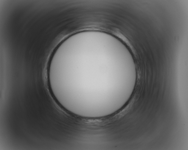 X0000089881466200706281040