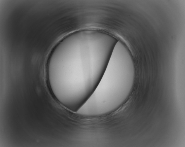 X0000089881467200706281040