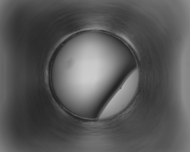 X0000089881468200706281040