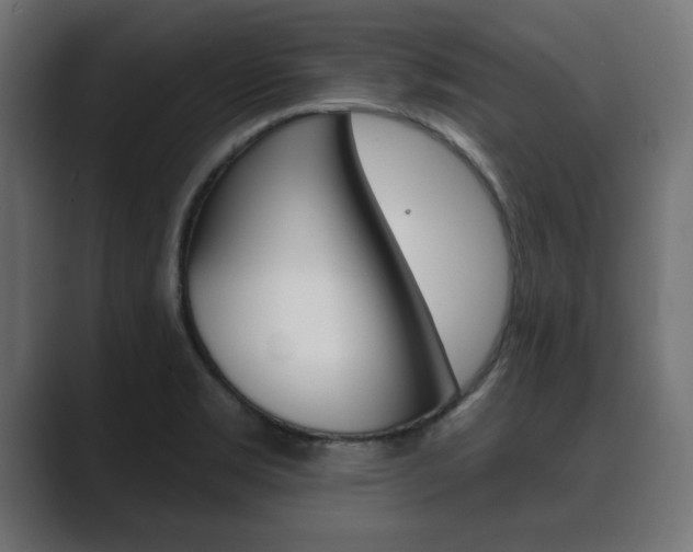 X0000089881469200706281040