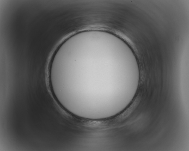 X0000089881470200706281040