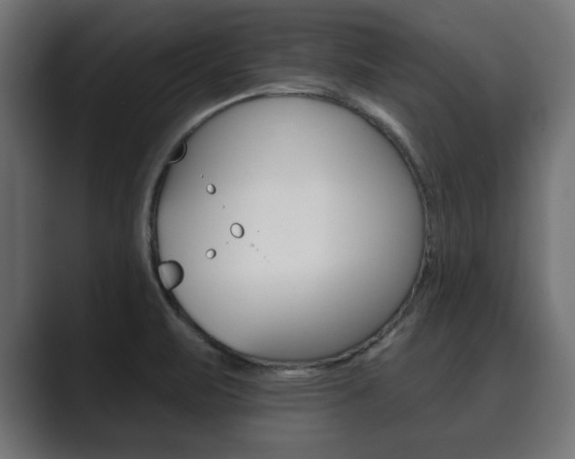 X0000089881471200706281040