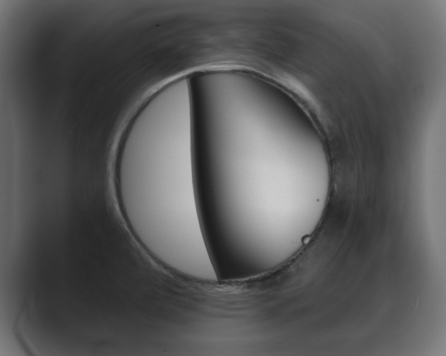 X0000089881472200706281040
