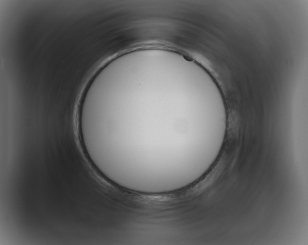 X0000089881474200706281040