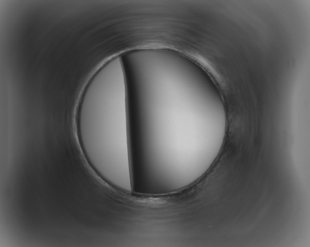 X0000089881476200706281040