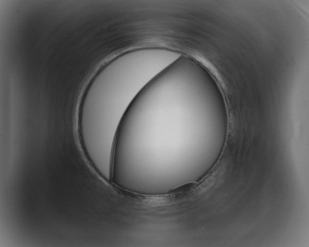 X0000089881477200706281040