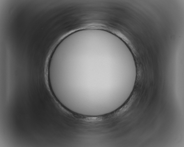 X0000089881478200706281040