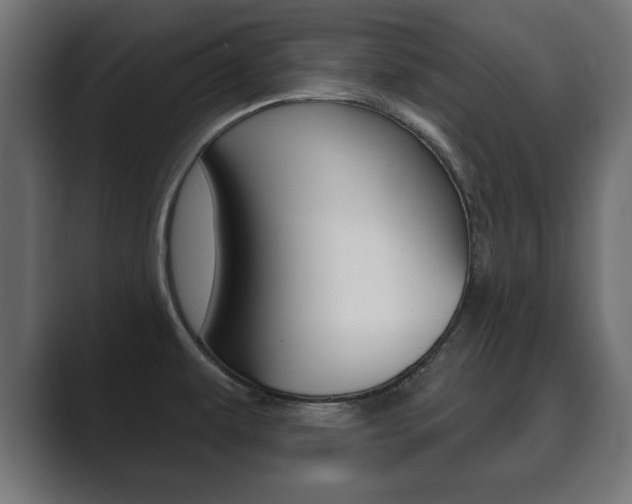 X0000089881479200706281040