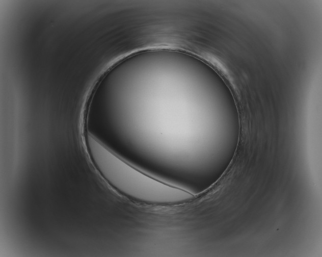 X0000089881480200706281040