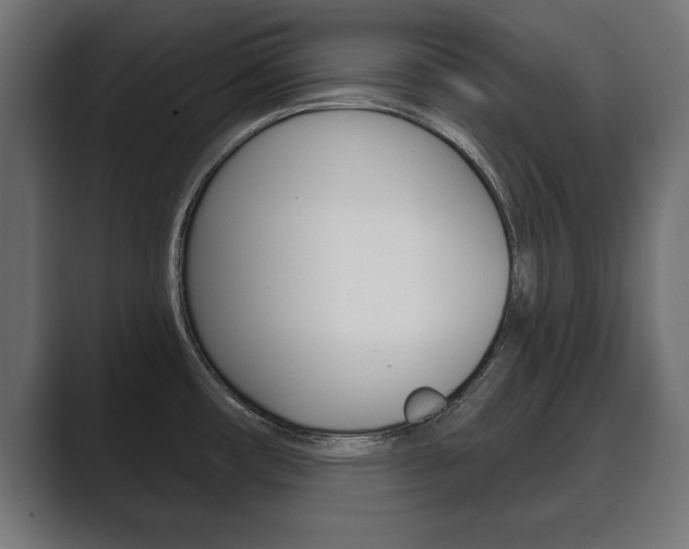 X0000089881482200706281040