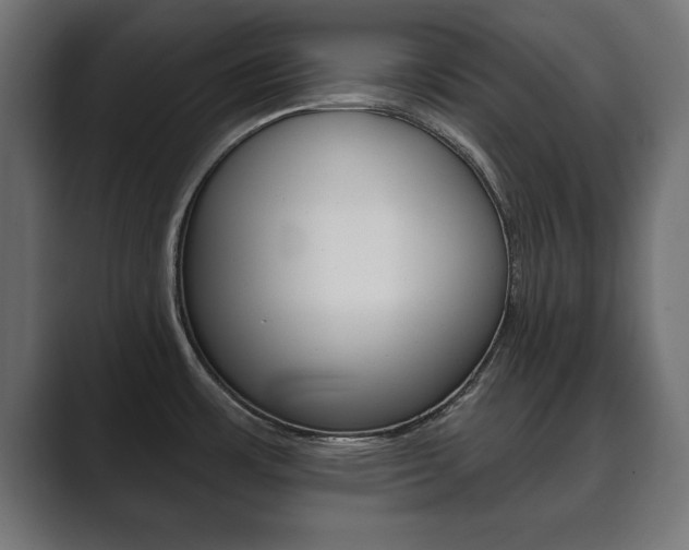 X0000089881483200706281040