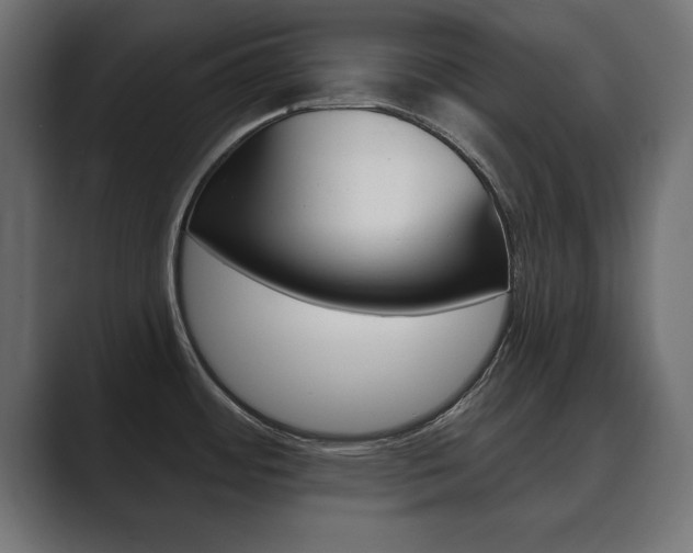 X0000089881484200706281040