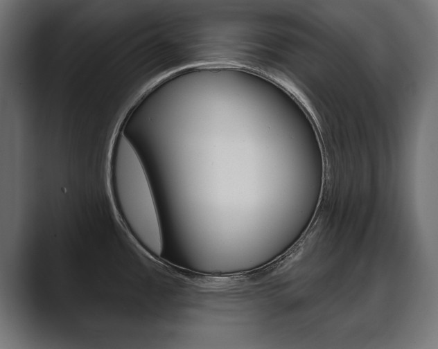 X0000089881485200706281040