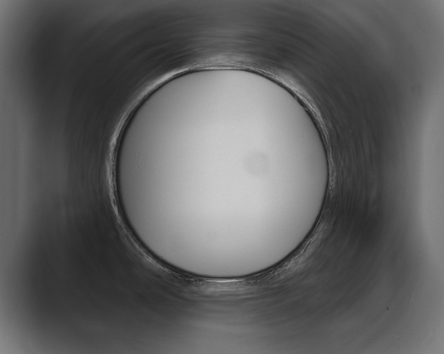 X0000089881486200706281040