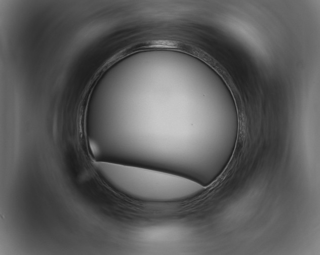 X0000089881487200706281040