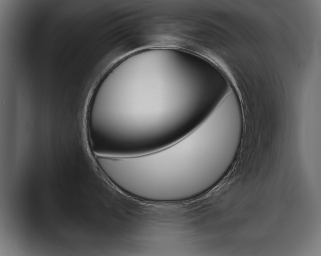 X0000089881488200706281040