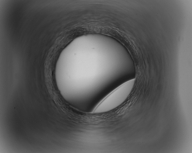 X0000089881489200706281039