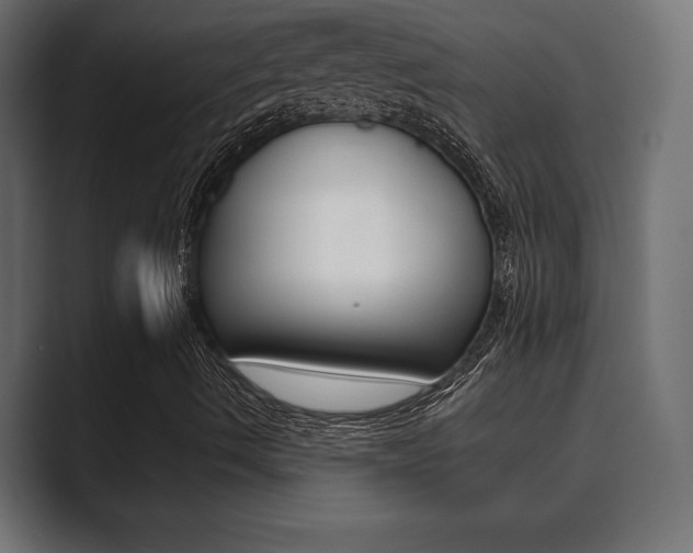 X0000089881490200706281039