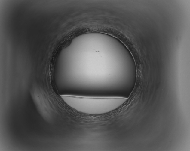 X0000089881493200706281039