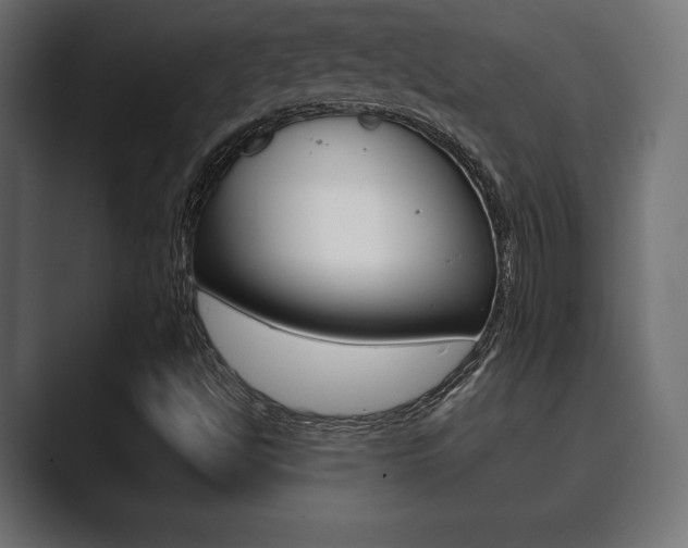 X0000089881494200706281039