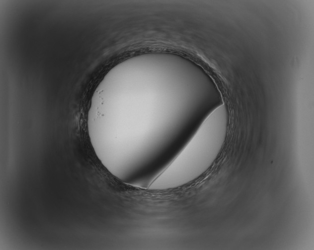 X0000089881495200706281039