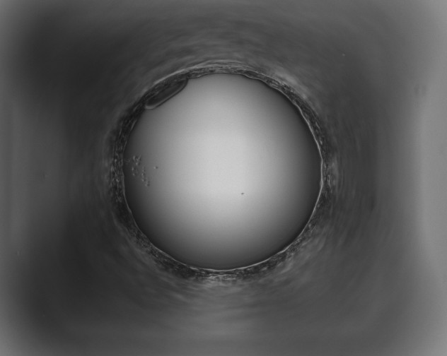 X0000089881496200706281039
